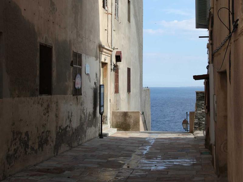 宠物侦探<br>rcdjexg.cn 寻找走失猫咪